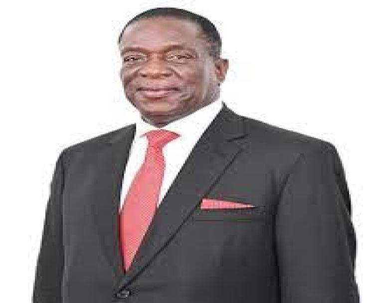 His Excellency Emmerson Mnangagwa